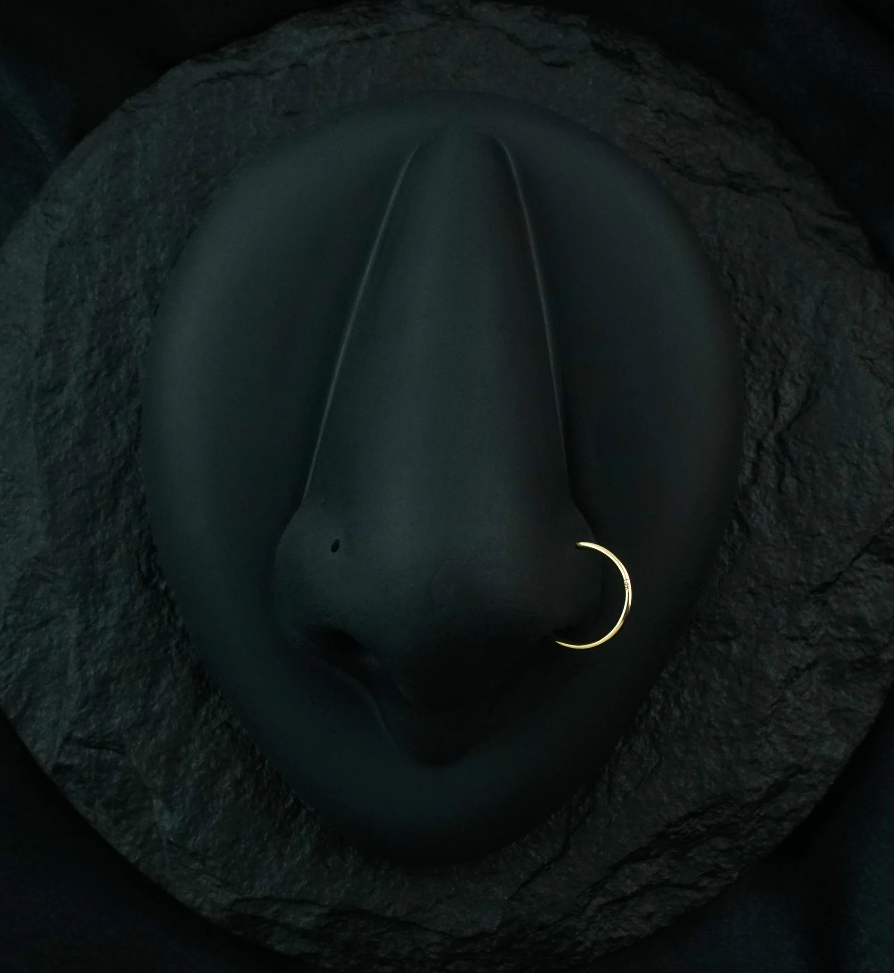 14kt Gold Hoop Nose Ring - Image 2