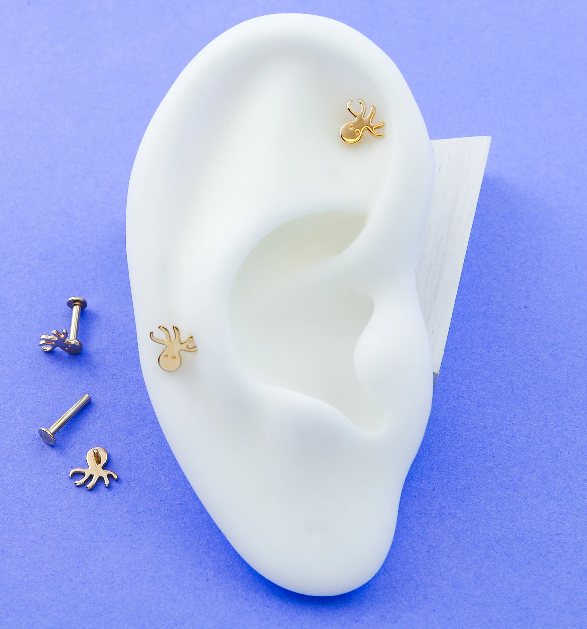 14kt Gold Octopus Internally Threaded Labret - Image 2