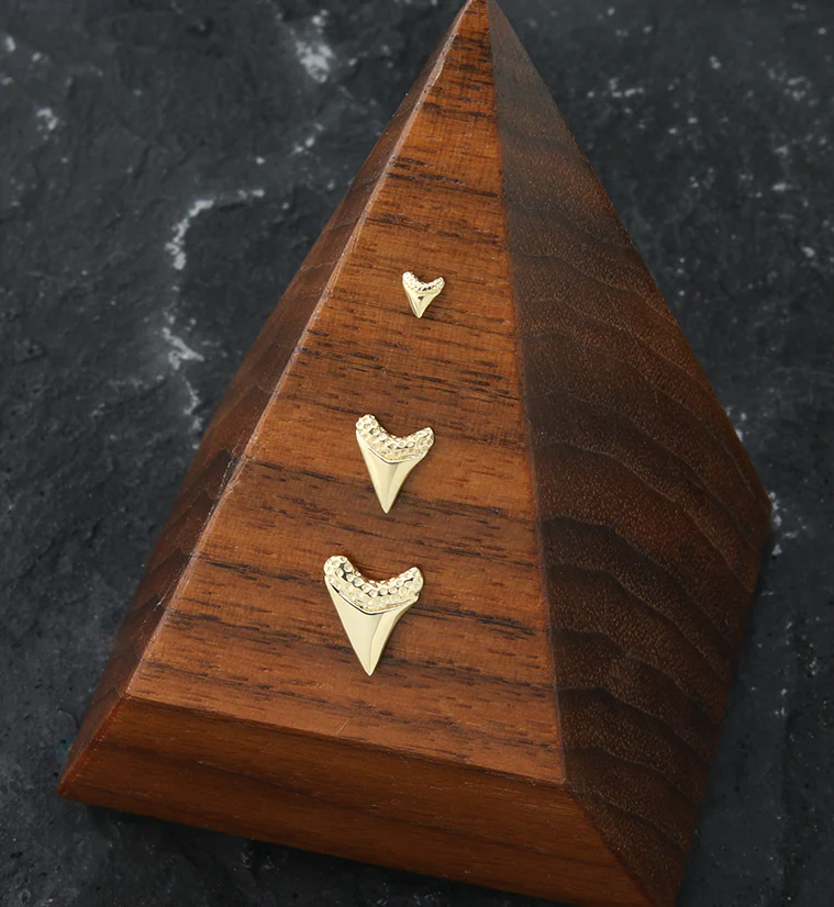 14kt Gold Shark Tooth Threadless Top - Image 2