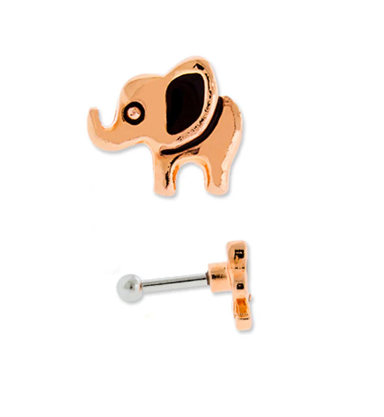 16G Rose Gold PVD Elephant Tragus - Cartilage Barbell