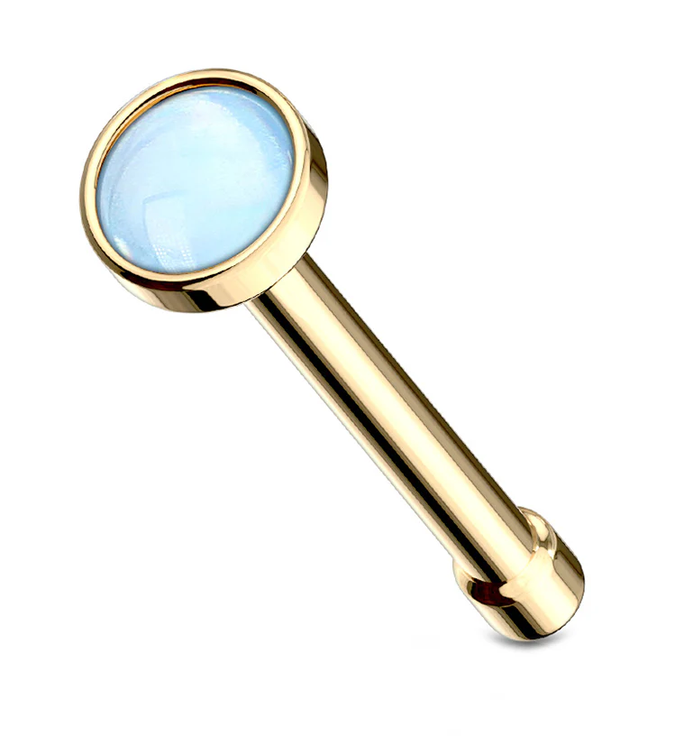 20G Gold PVD Blue Escent Stainless Steel Nosebone