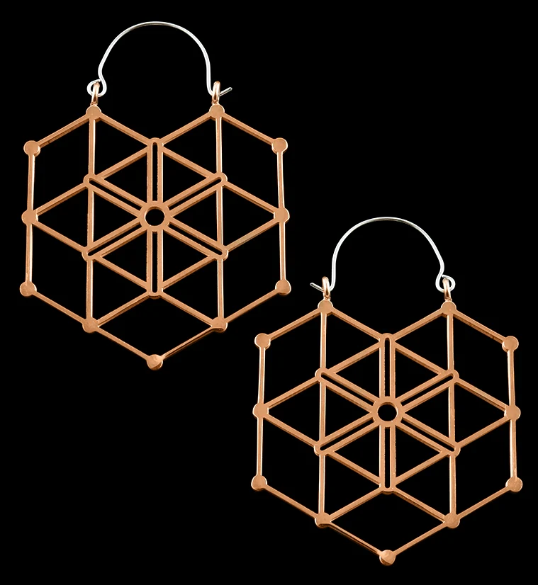 20G Rose Gold Gaze Hangers - Earrings