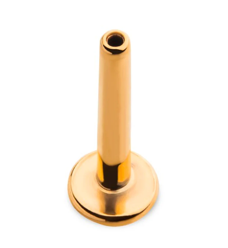 24kt Gold PVD 16G Titanium Threadless Labret (Back Only) - Image 2