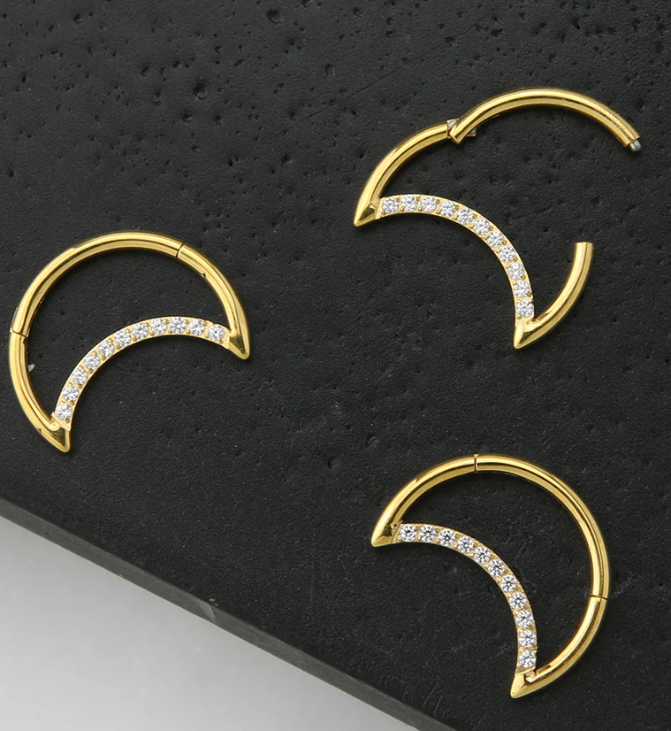 24kt Gold PVD Half Moon CZ Row Titanium Hinged Segment Ring - Image 2