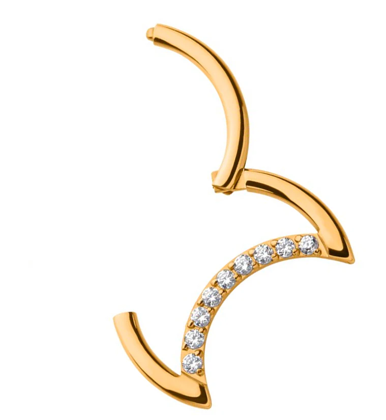 24kt Gold PVD Half Moon CZ Row Titanium Hinged Segment Ring - Image 3