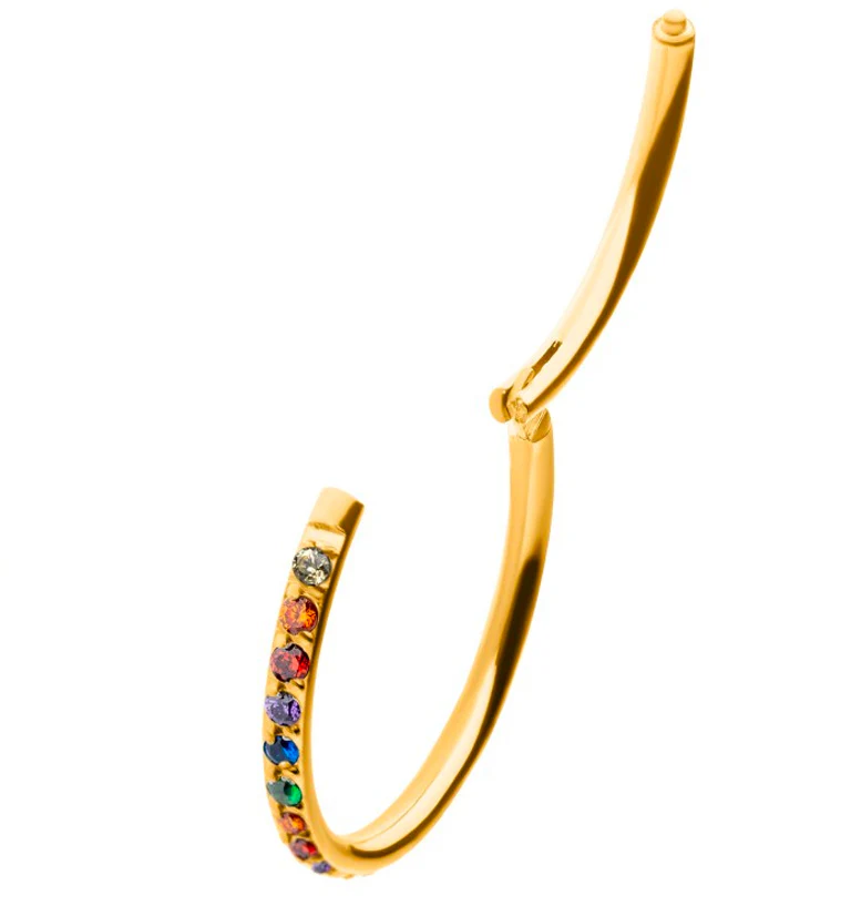 24kt Gold PVD Rainbow CZ Row Titanium Hinged Segment Ring - Image 2
