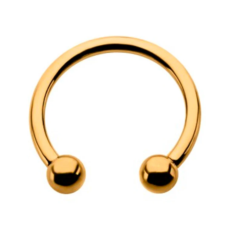 24kt Gold PVD Titanium Circular Barbell - Image 3