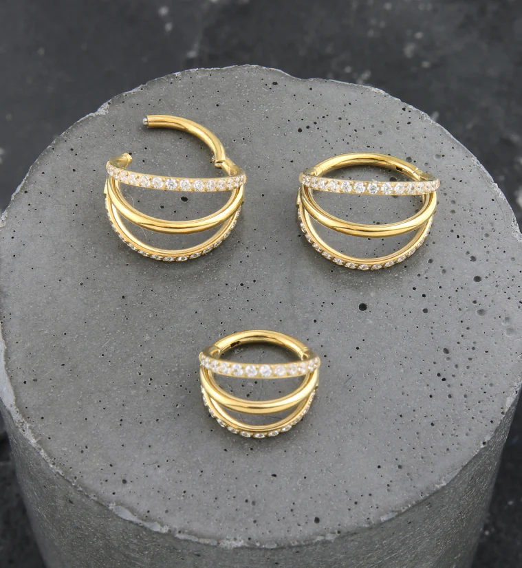 24kt Gold PVD Triple Side Bar Dual Clear CZ Row Titanium Hinged Segment Ring - Image 2
