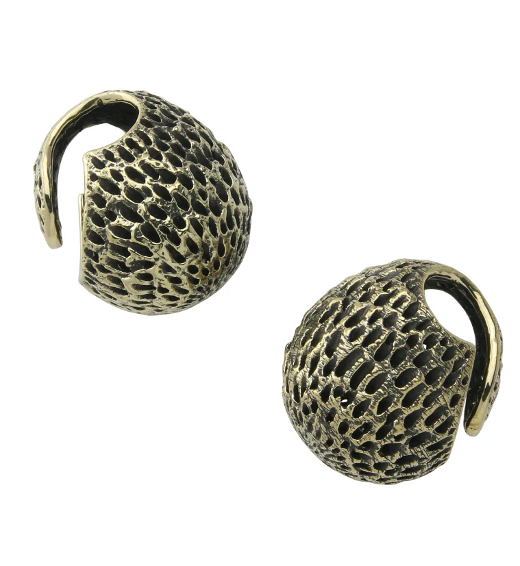 Achene Brass Ear Weights - Image 3