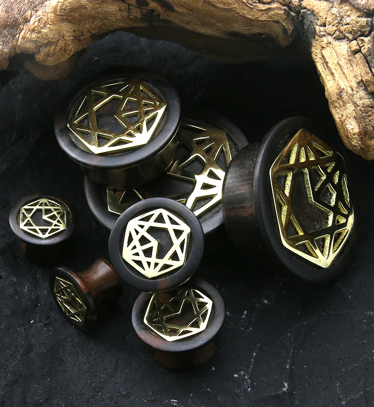 Alchemy Brass Areng Wood Mayan Flare Plugs - Image 2
