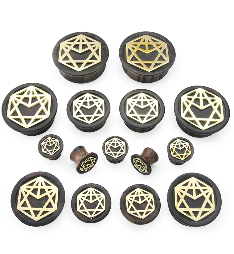 Alchemy Brass Areng Wood Mayan Flare Plugs - Image 3