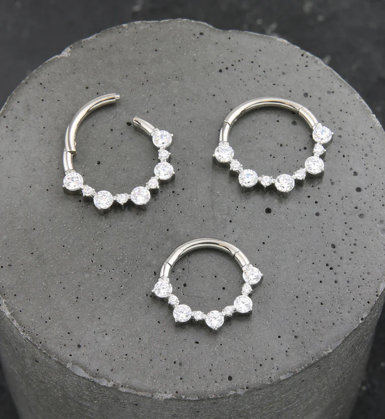 Alternate Clear CZ Titanium Hinged Segment Ring - Image 2