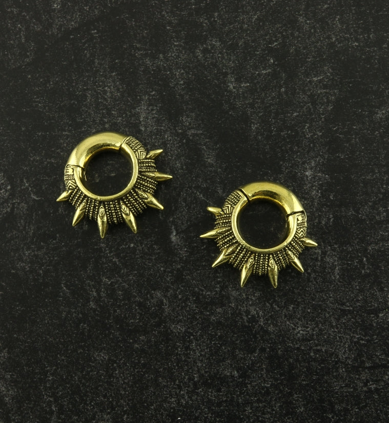 Apex Hinged Ear Weights - Image 3