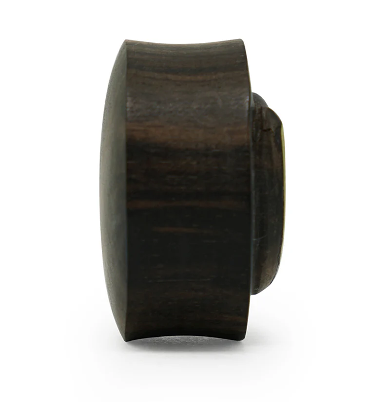 Areng Wood Plugs with Ammonite Inlay - Image 5