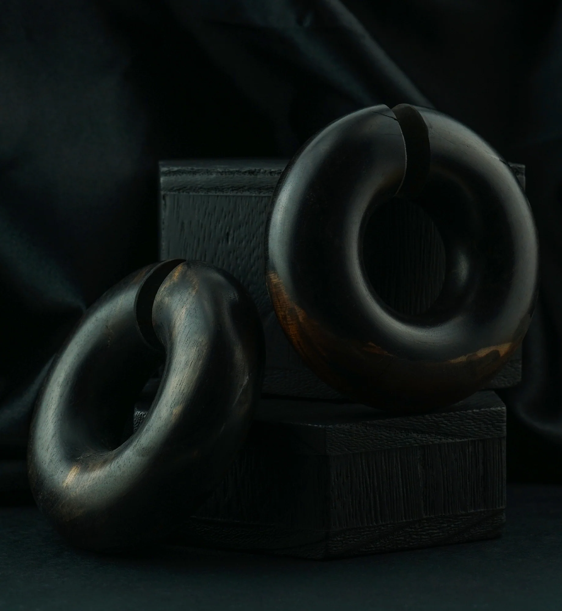 Areng Wooden Hoop Plugs - Image 3