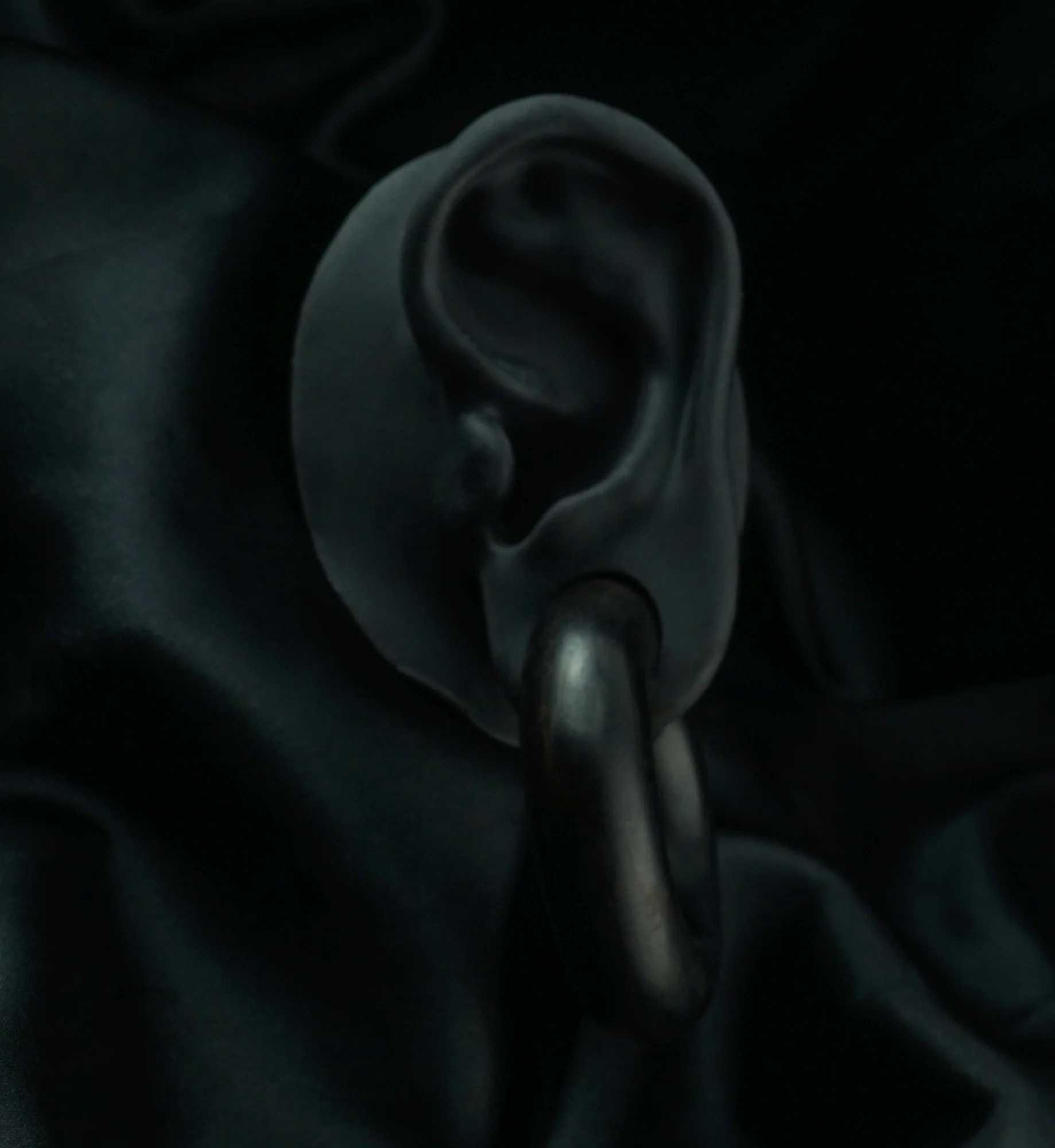 Areng Wooden Hoop Plugs - Image 6