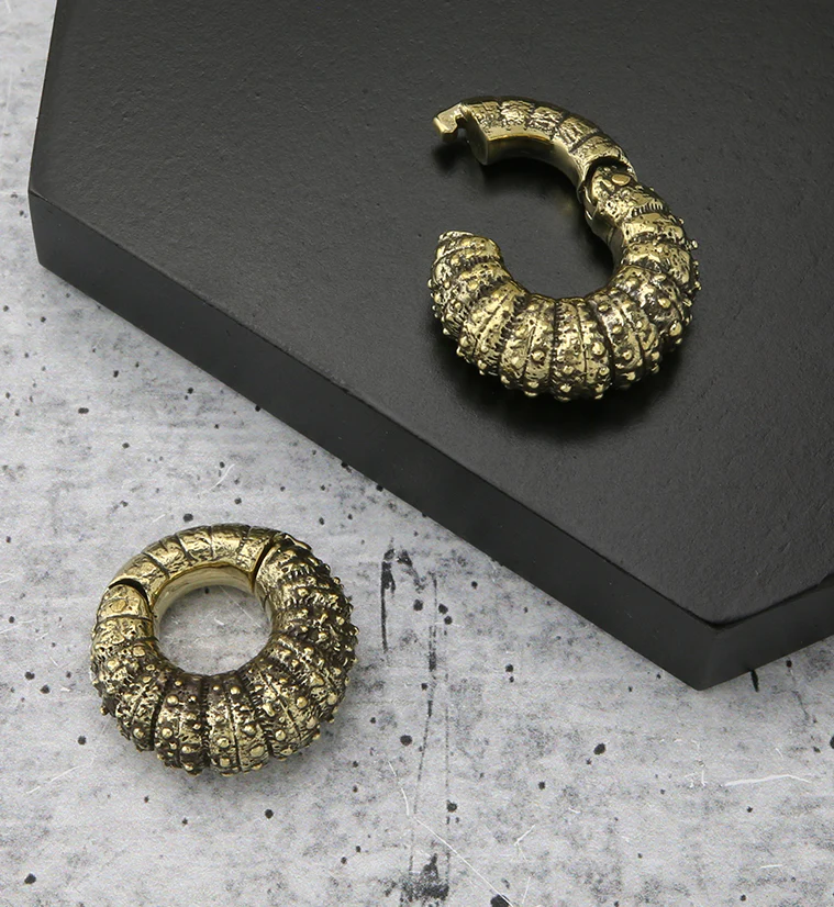 Barnacle Brass Hinged Ear Weights - Image 2