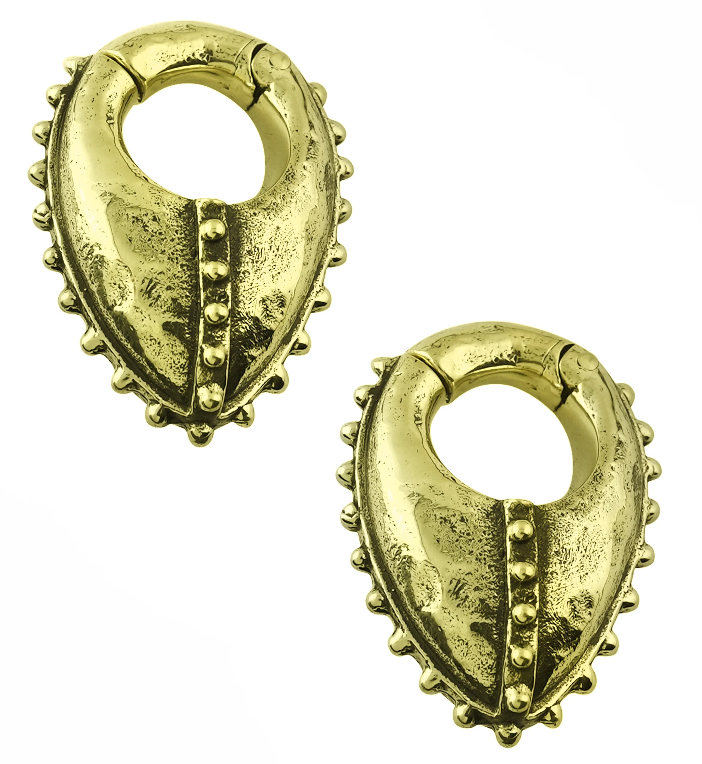 Sentry Brass Hinged Ear Weights