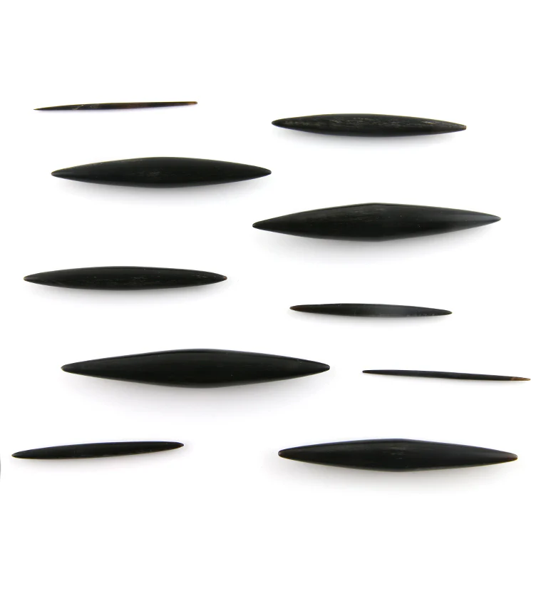 Black Horn Septum Spike