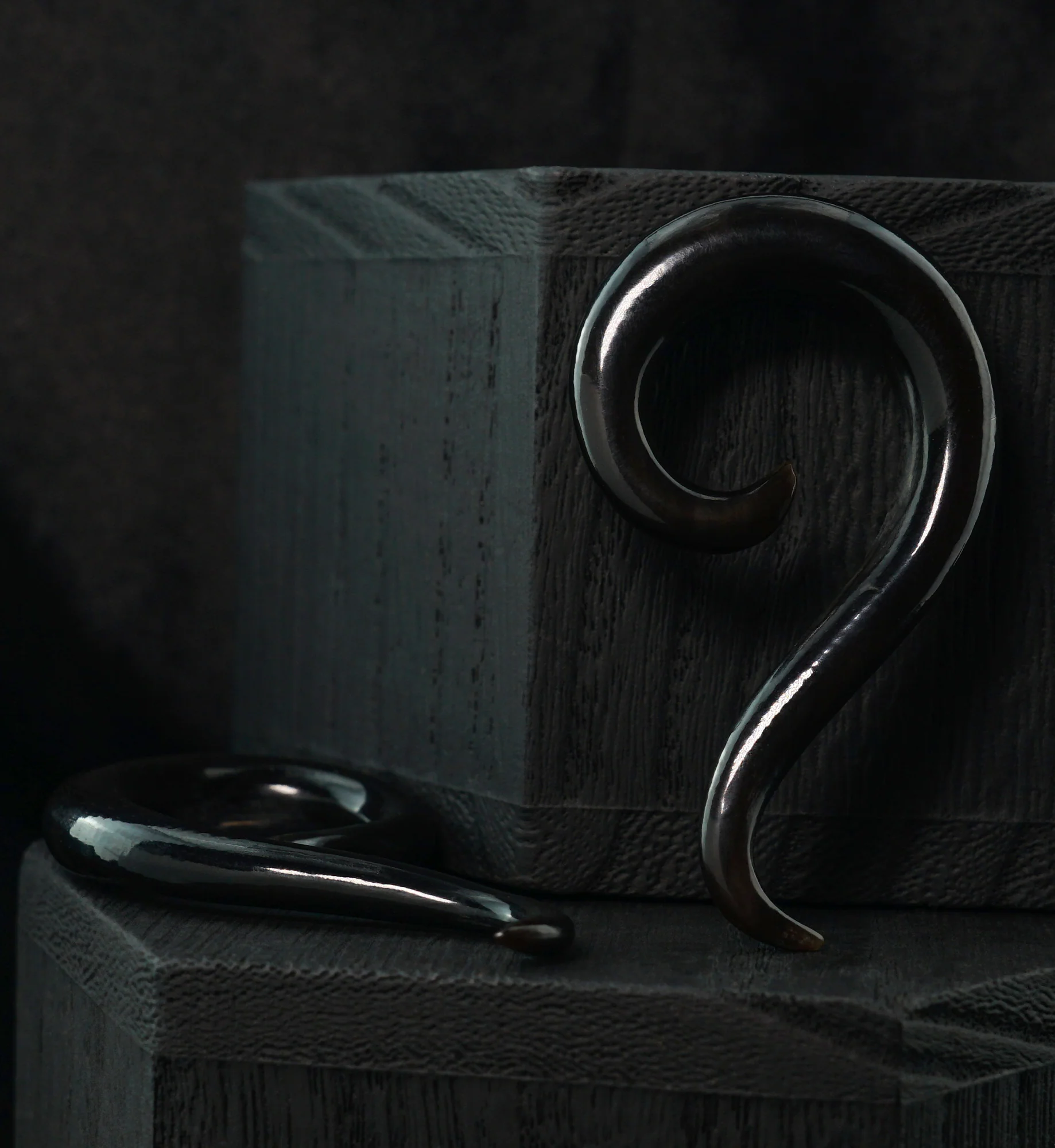 Black Horn Tail Spirals - Image 2