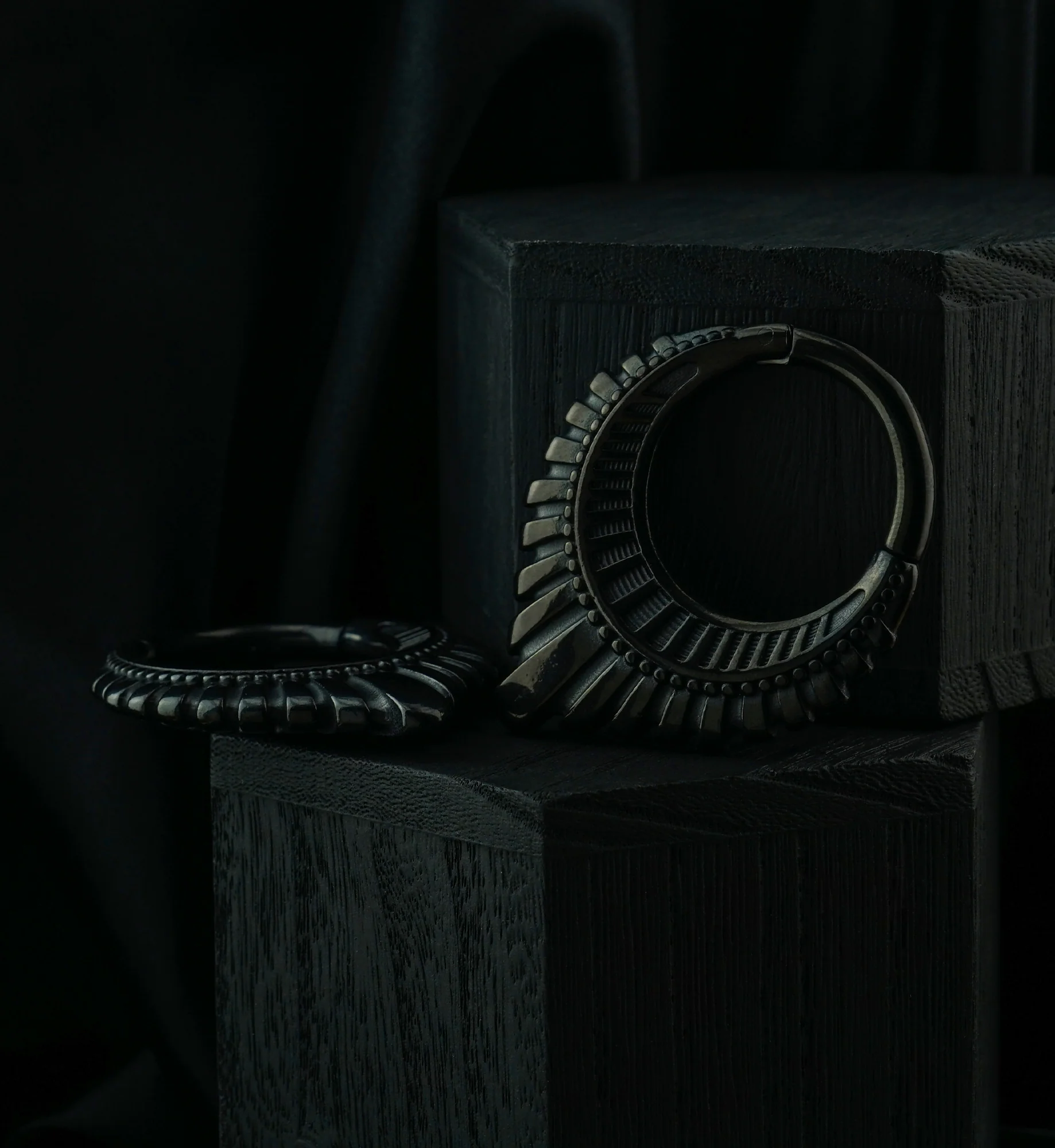 Black PVD Heraldry Stainless Steel Hinged Ear Weights - Image 3