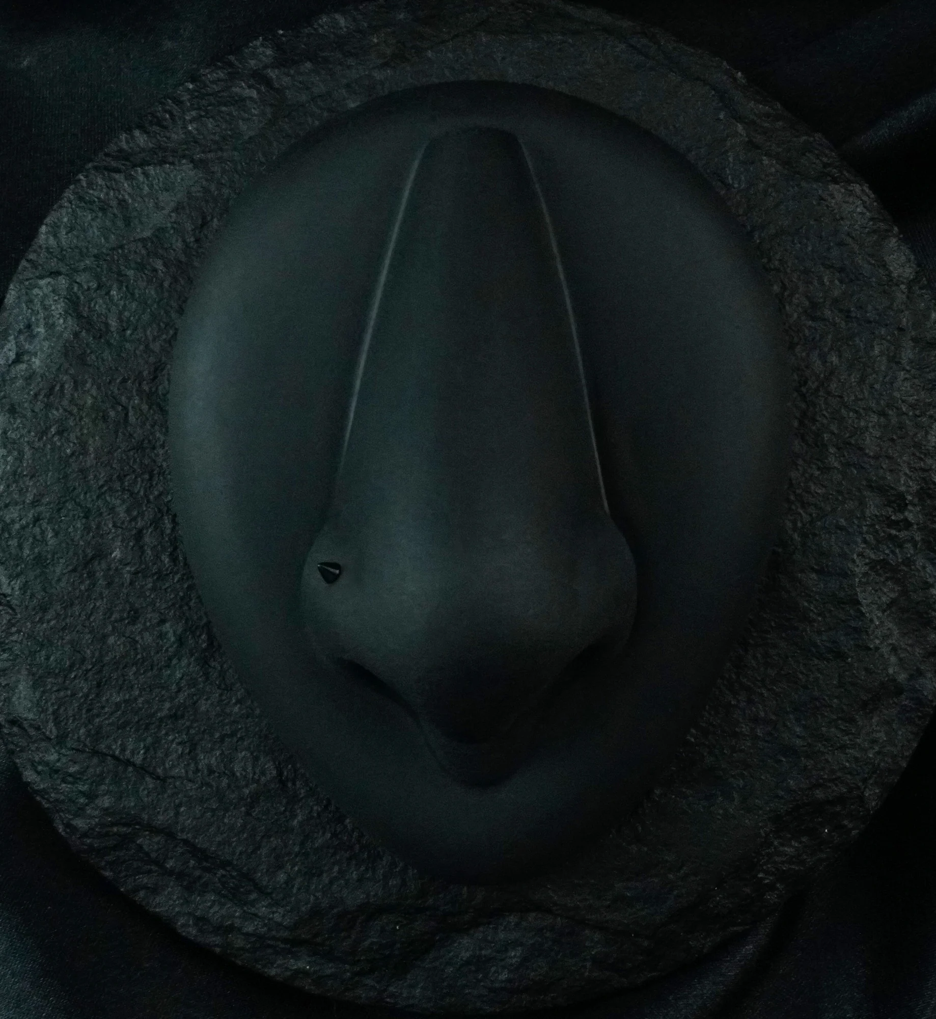 Black PVD Spike Titanium Nose Screw - Image 2