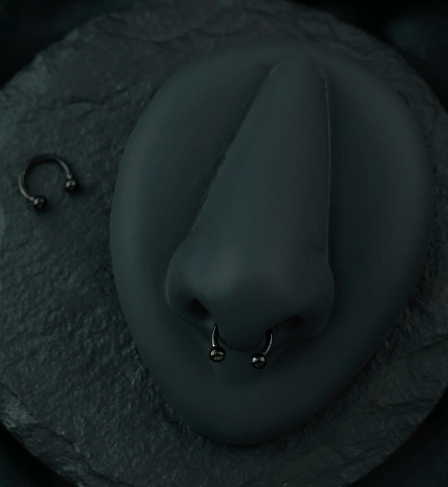 Black PVD Titanium Circular Barbell - Image 2