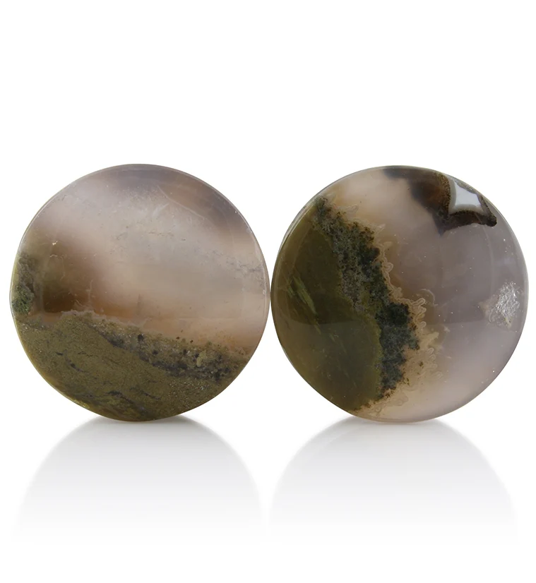 Blue Forest Petrified Wood Plugs 1 Inch (25mm) Version 1