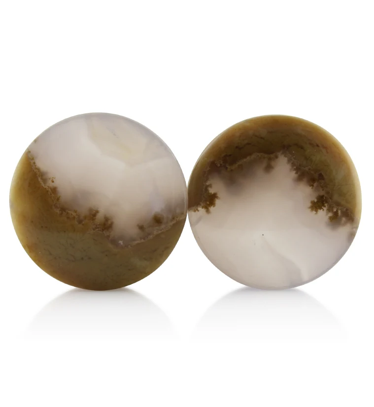 Blue Forest Petrified Wood Plugs 1 Inch (25mm) Version 2