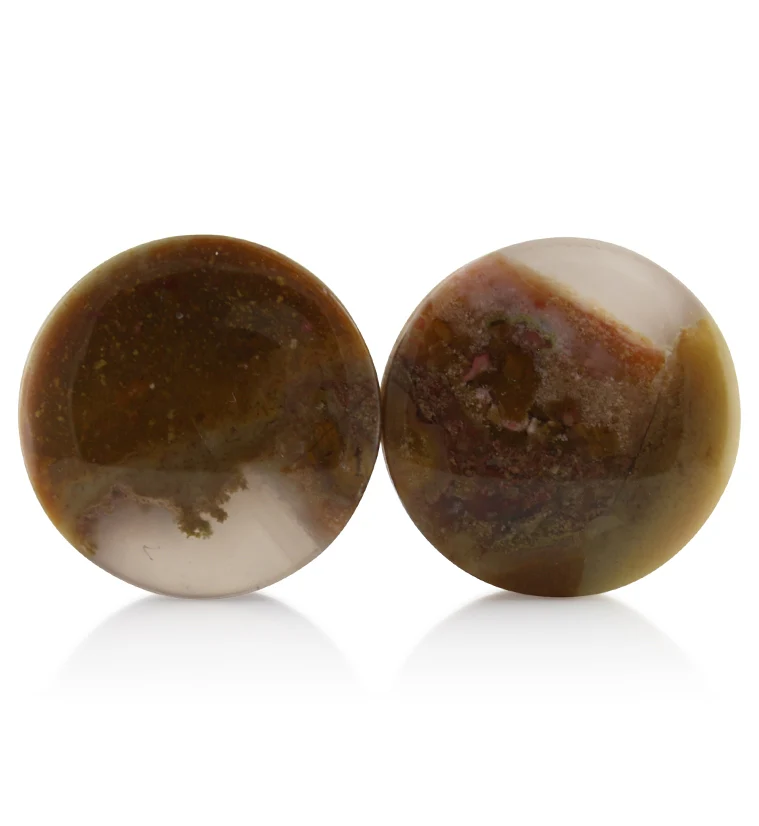 Blue Forest Petrified Wood Plugs 1 Inch (25mm) Version 3