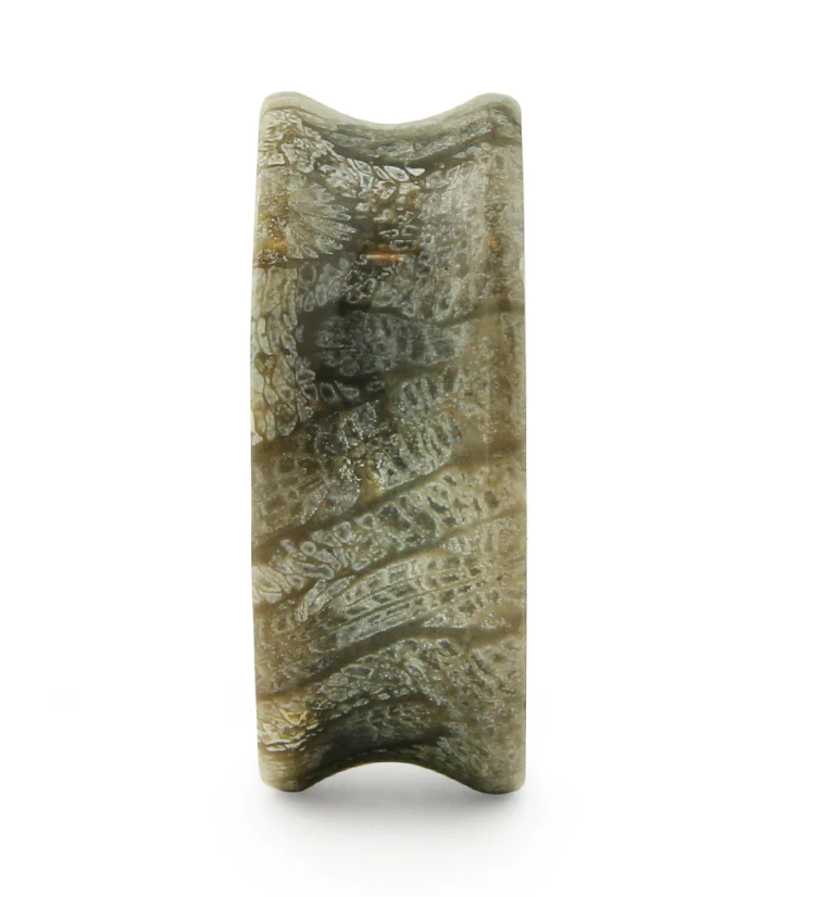 Blue Fossilized Coral Stone Plugs - Image 4