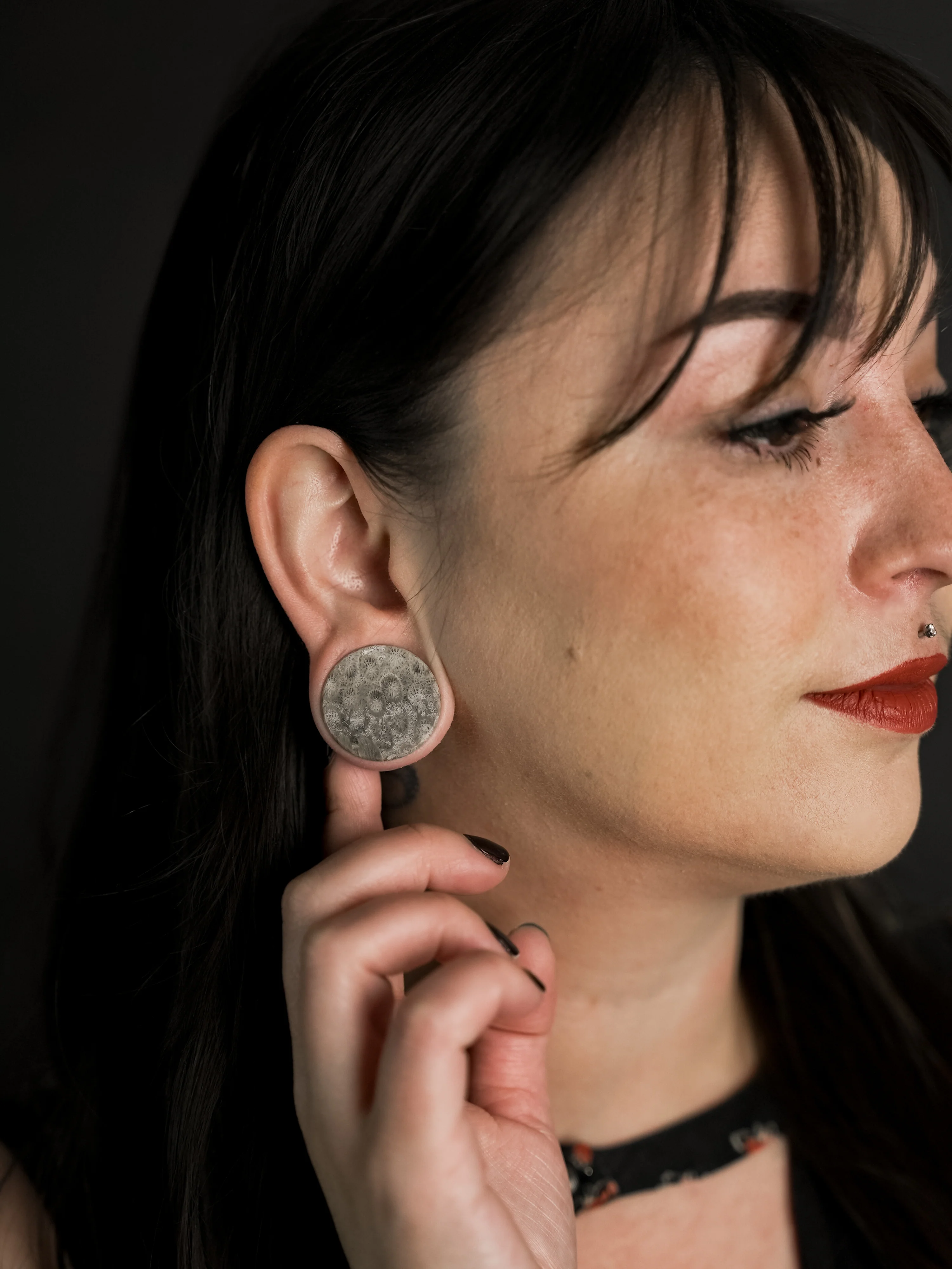Blue Fossilized Coral Stone Plugs - Image 5