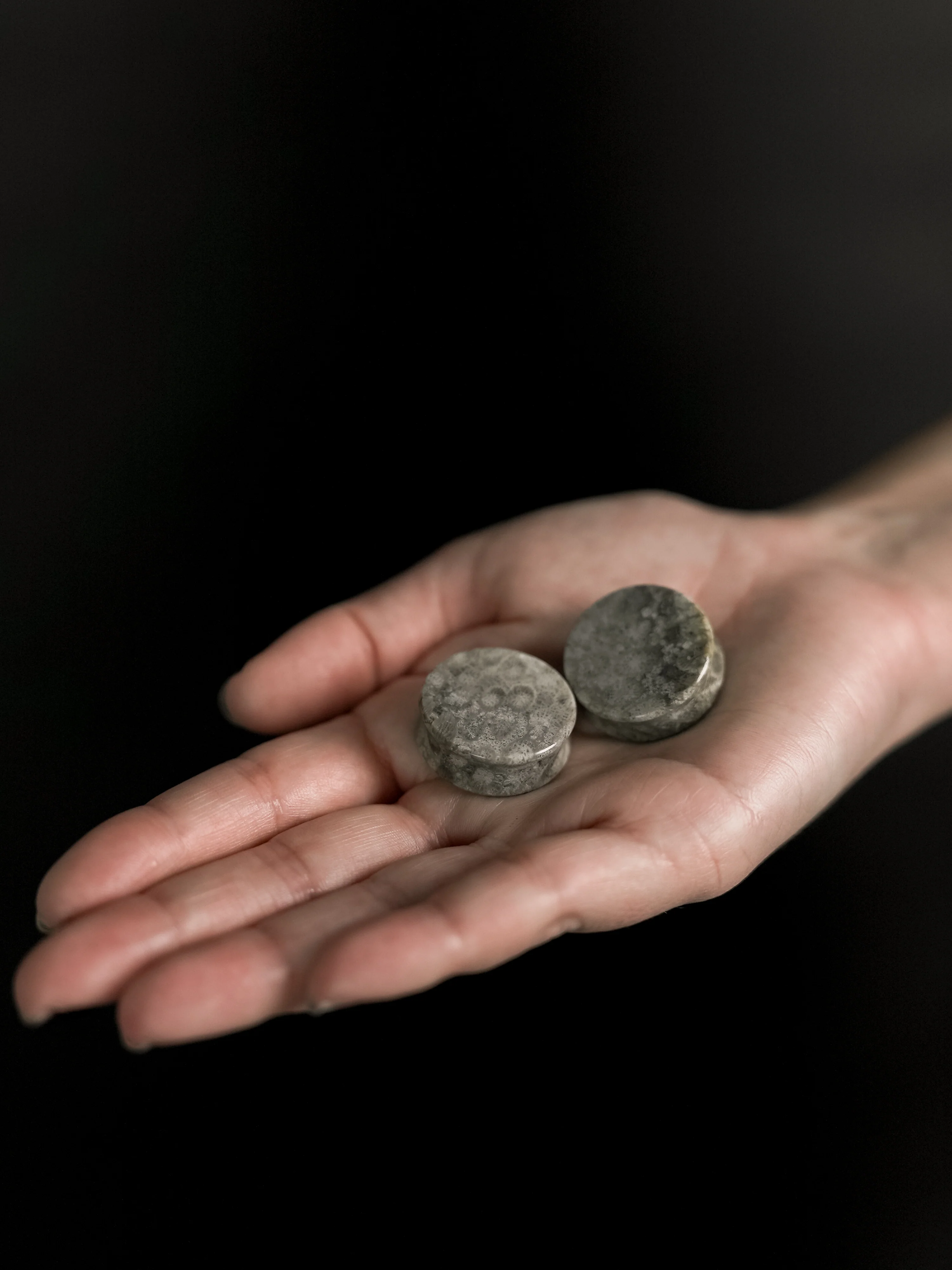 Blue Fossilized Coral Stone Plugs - Image 8