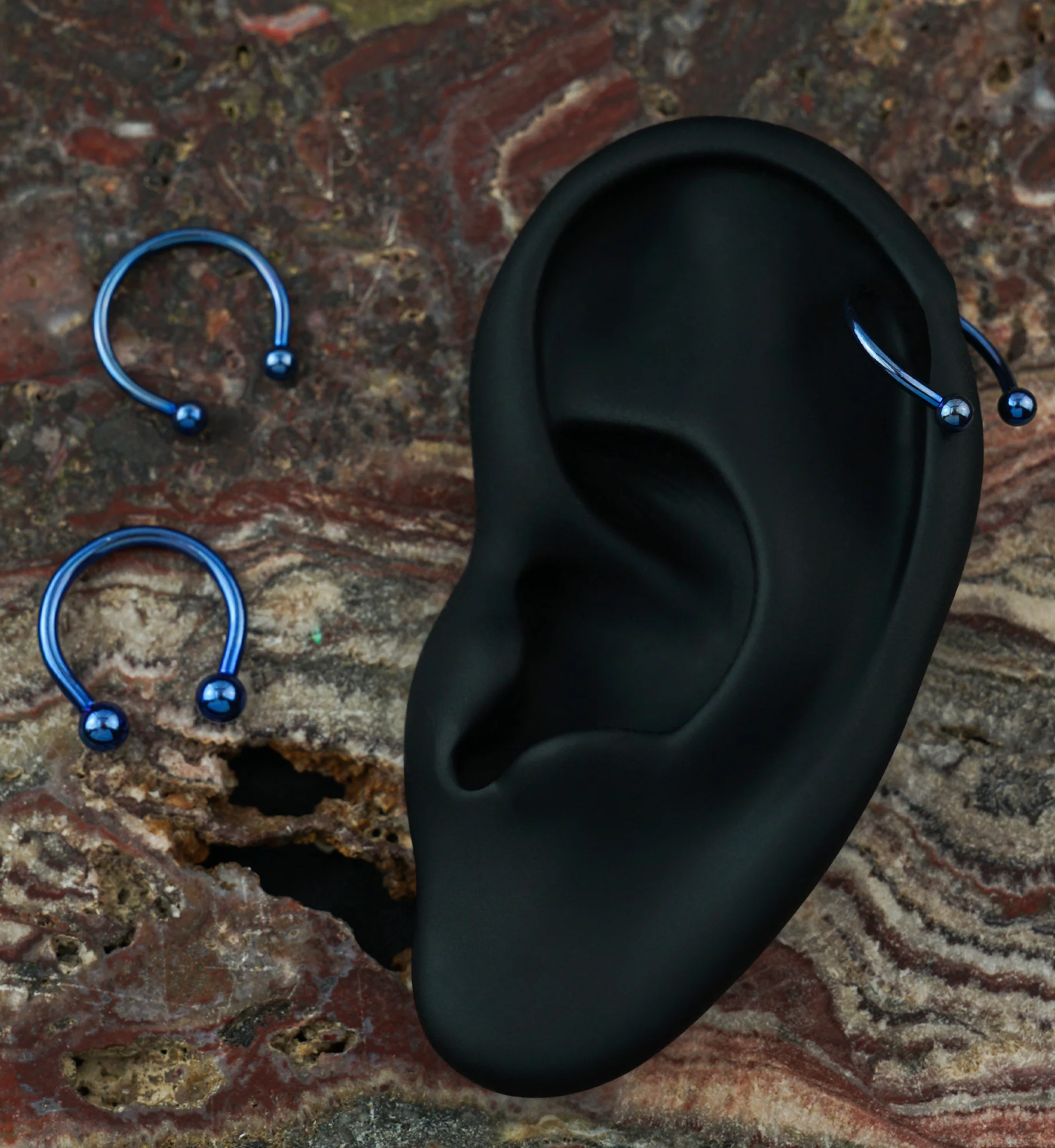 Blue Titanium Circular Barbells - Image 3