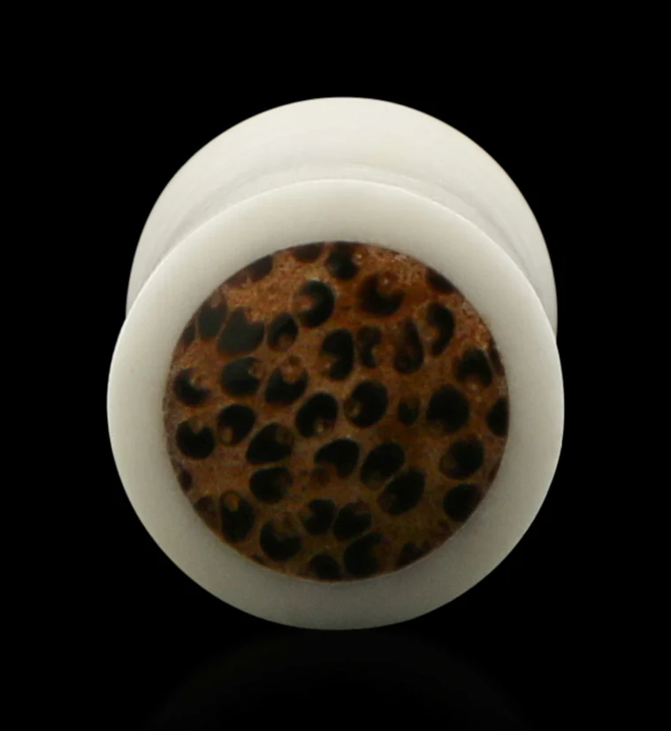 Bone Plugs with Coconut Wood Inlay - Image 3