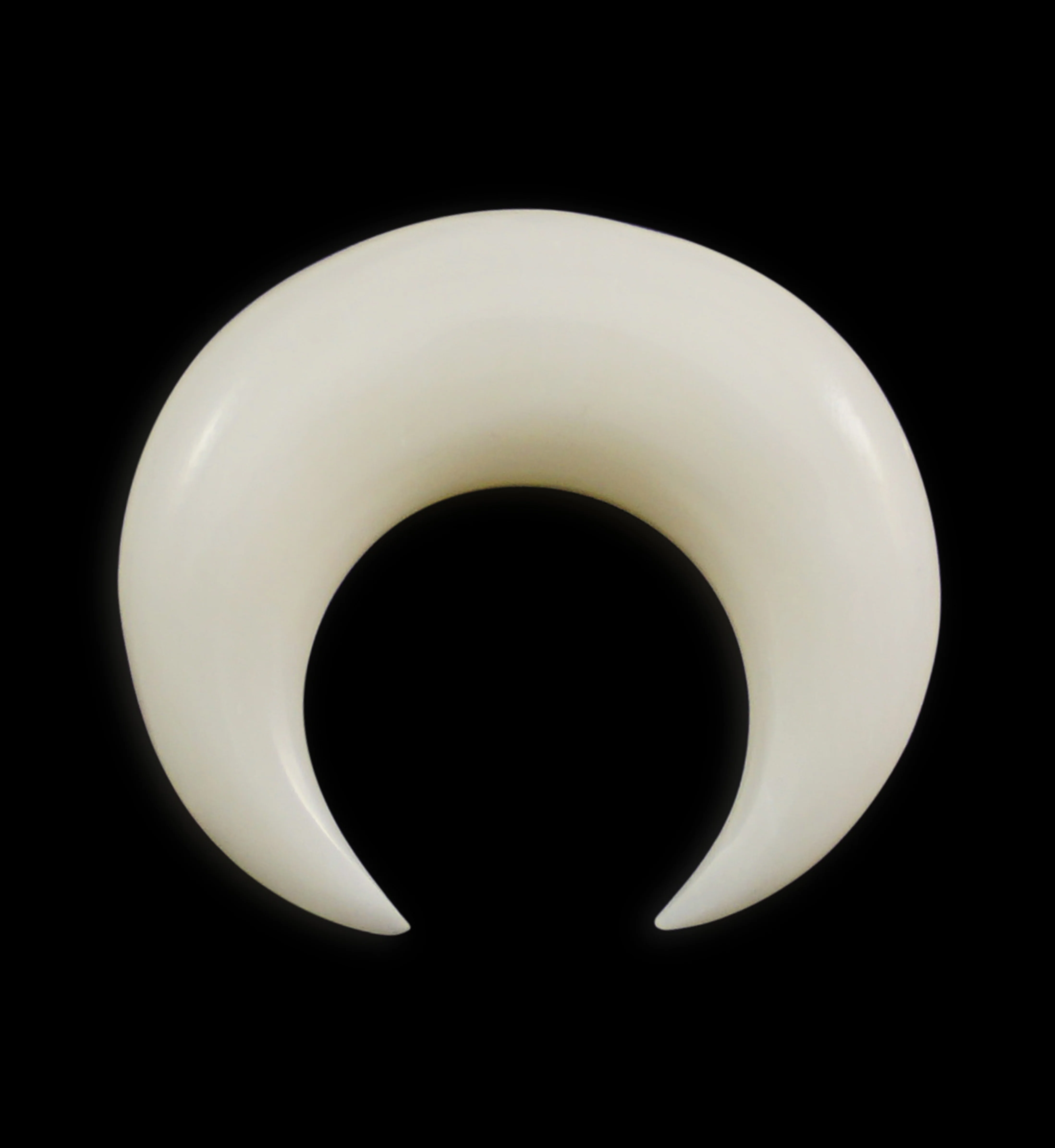 Bone Septum Pincher - Image 3