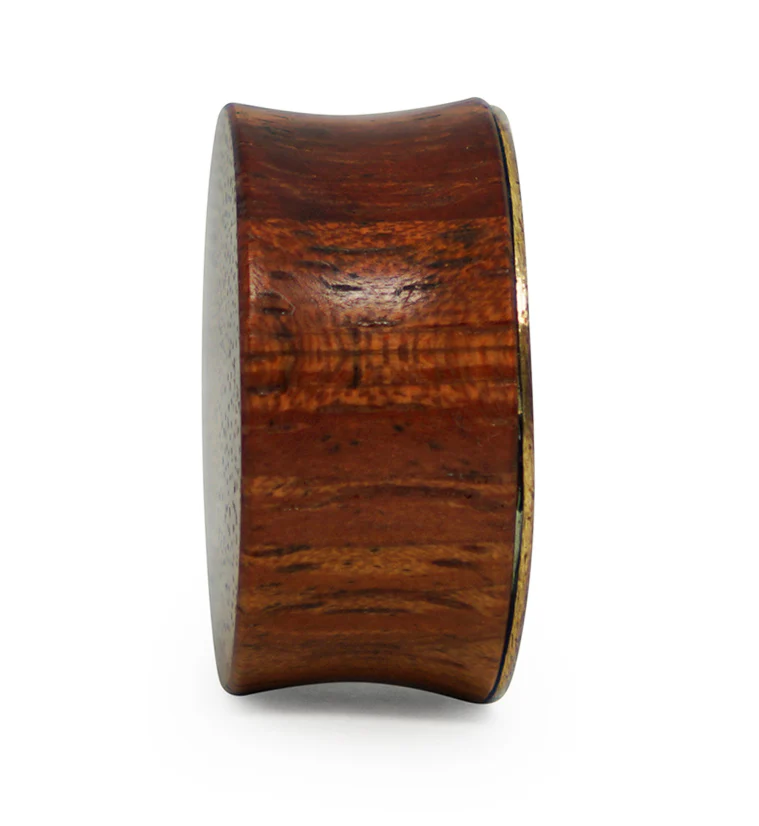 Brass Dragonfly Wood Plugs With Teal Stone Inlay - Image 6
