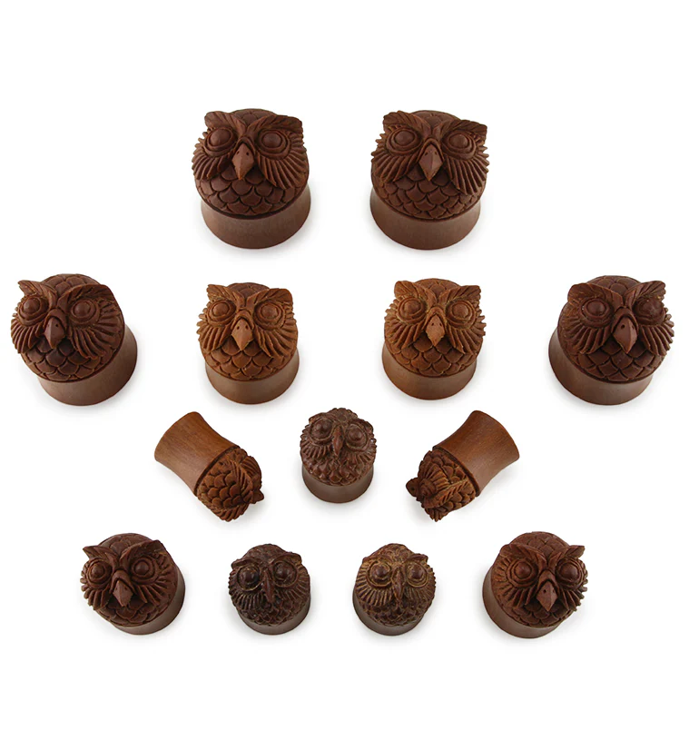 Carved Owl Wood Plugs - Image 3