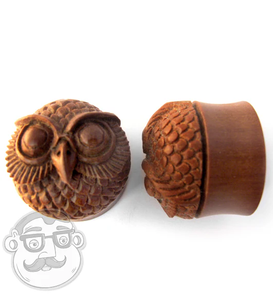 Carved Owl Wood Plugs - Image 5