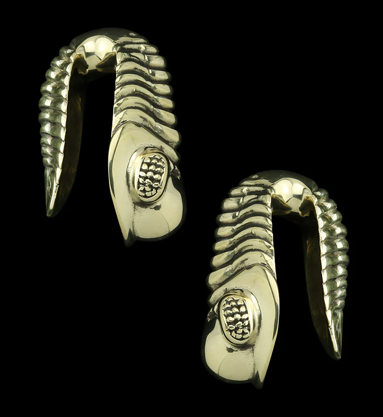 Trilobite Fossil Brass Ear Weights
