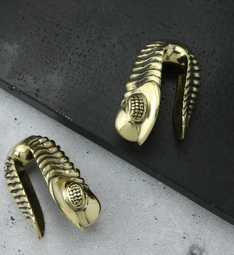 Trilobite Fossil Brass Ear Weights - Image 2