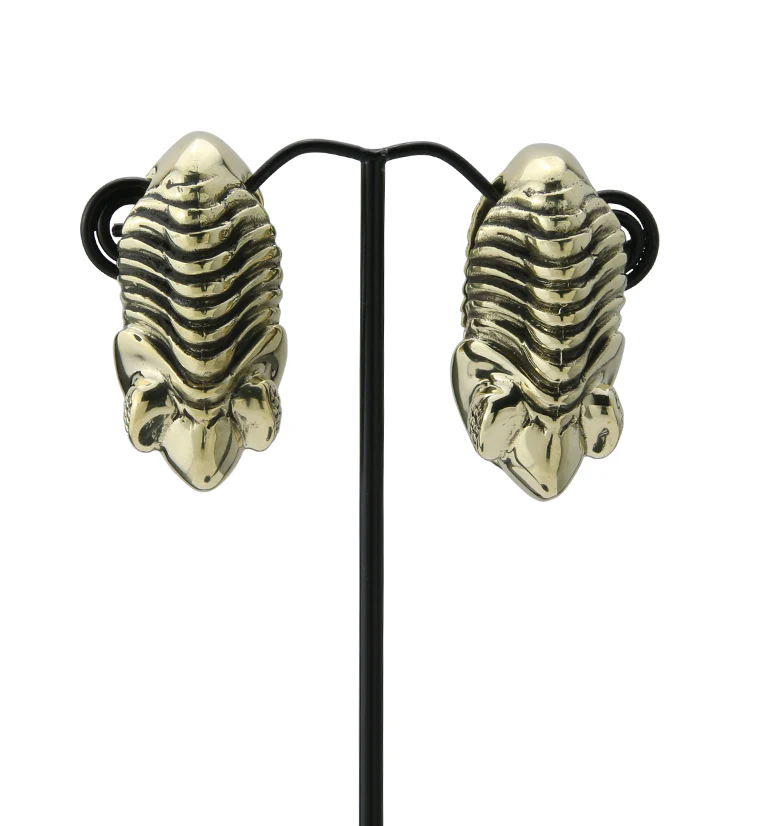 Trilobite Fossil Brass Ear Weights - Image 3