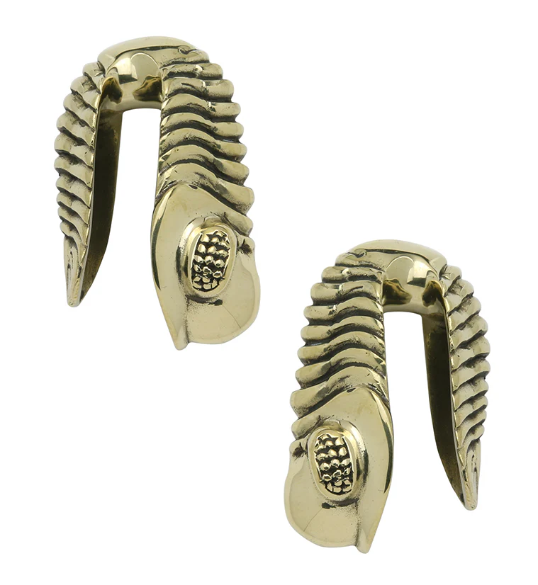 Trilobite Fossil Brass Ear Weights - Image 4