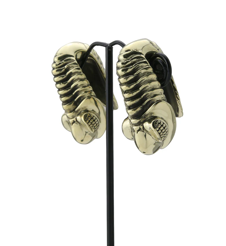 Trilobite Fossil Brass Ear Weights - Image 5