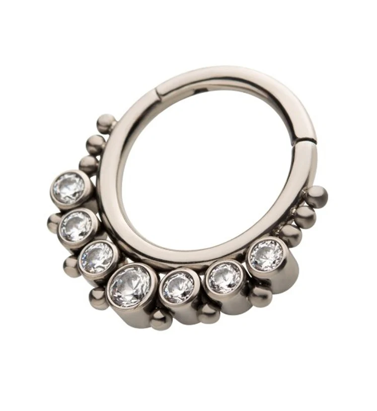 Clear CZ Cluster Titanium Hinged Segment Ring - Image 2