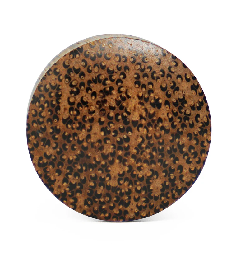 Coconut Wood Plugs - Image 3