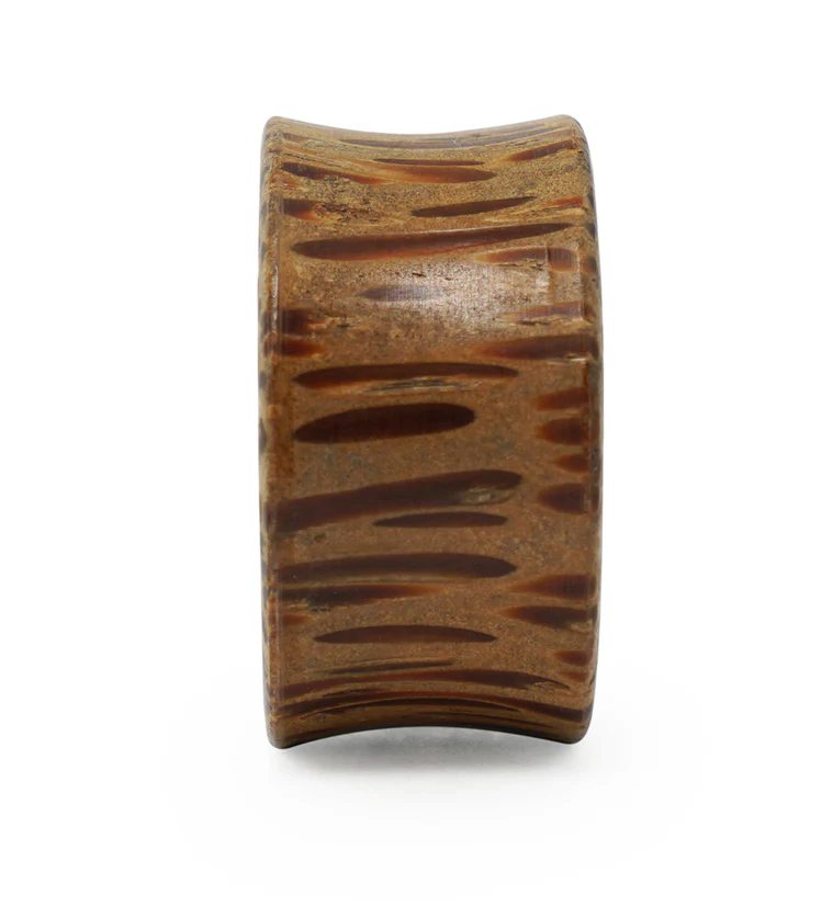 Concave Coconut Wood Tunnels With Areng Wood Inlay - Image 4