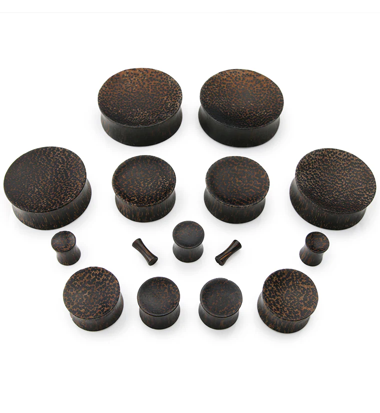 Concave Palm Wood Plugs - Image 3