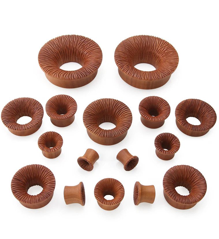 Score Saba Wood Mayan Flare Tunnel Plugs - Image 3