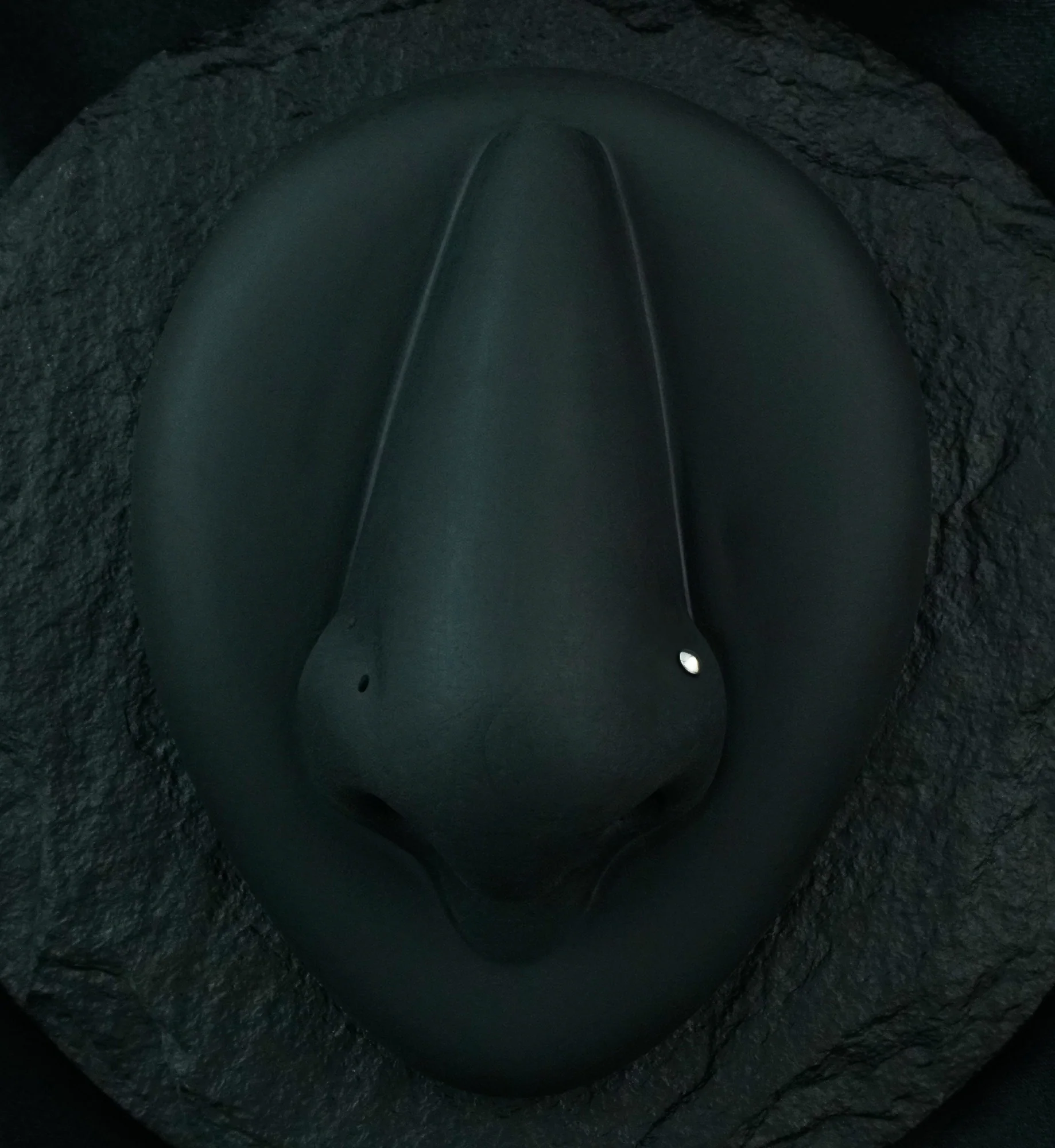 Dome Top L Bend Nose Ring - Image 2